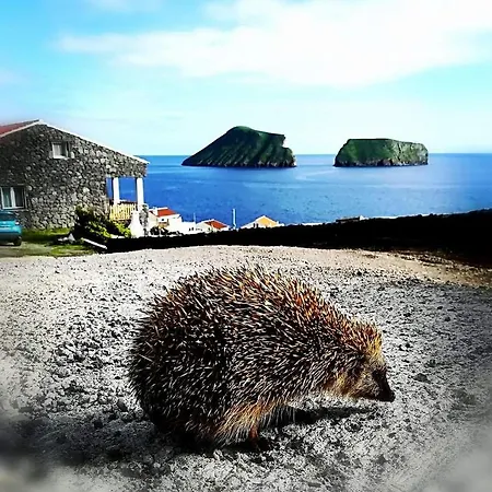 Breathe Nature - House Azores וילה
