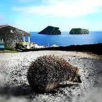 Holiday home Breathe Nature - House Azores *