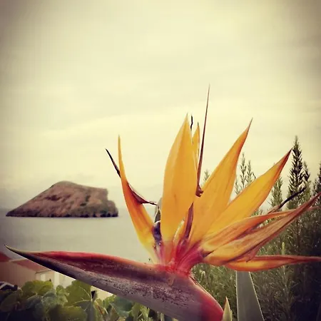 Breathe Nature - House Azores Villa