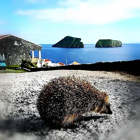 Breathe Nature - House Azores