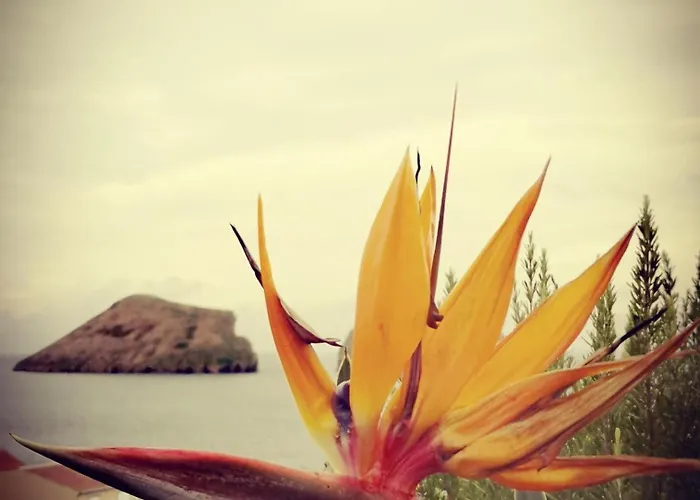 펜션 Breathe Nature - House Azores