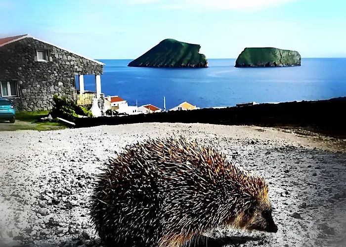 펜션 Breathe Nature - House Azores *